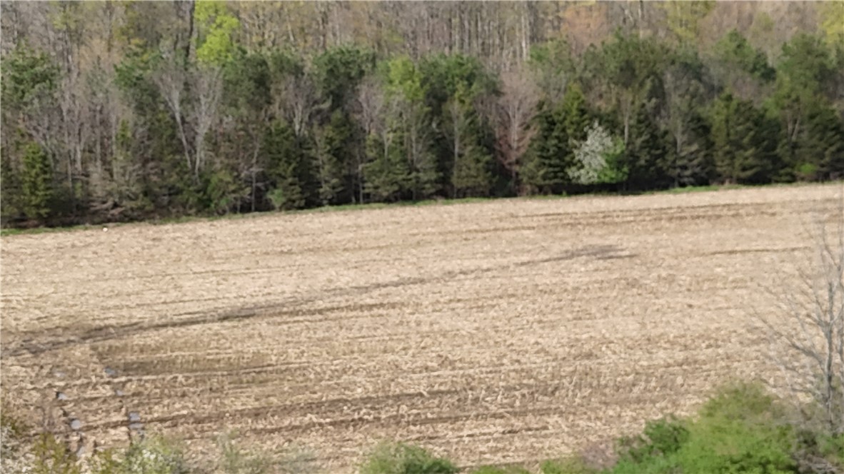 14245 Collins Center Zoar Road Collins, NY 14034 - Photo 29 of 32