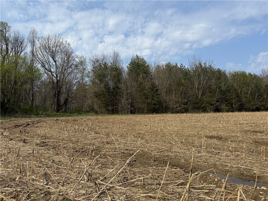14245 Collins Center Zoar Road Collins, NY 14034 - Photo 3 of 32