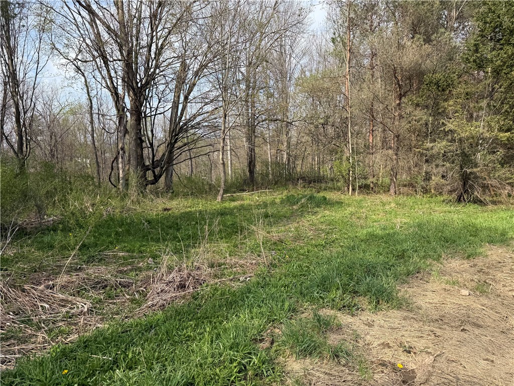 14245 Collins Center Zoar Road Collins, NY 14034 - Photo 5 of 32