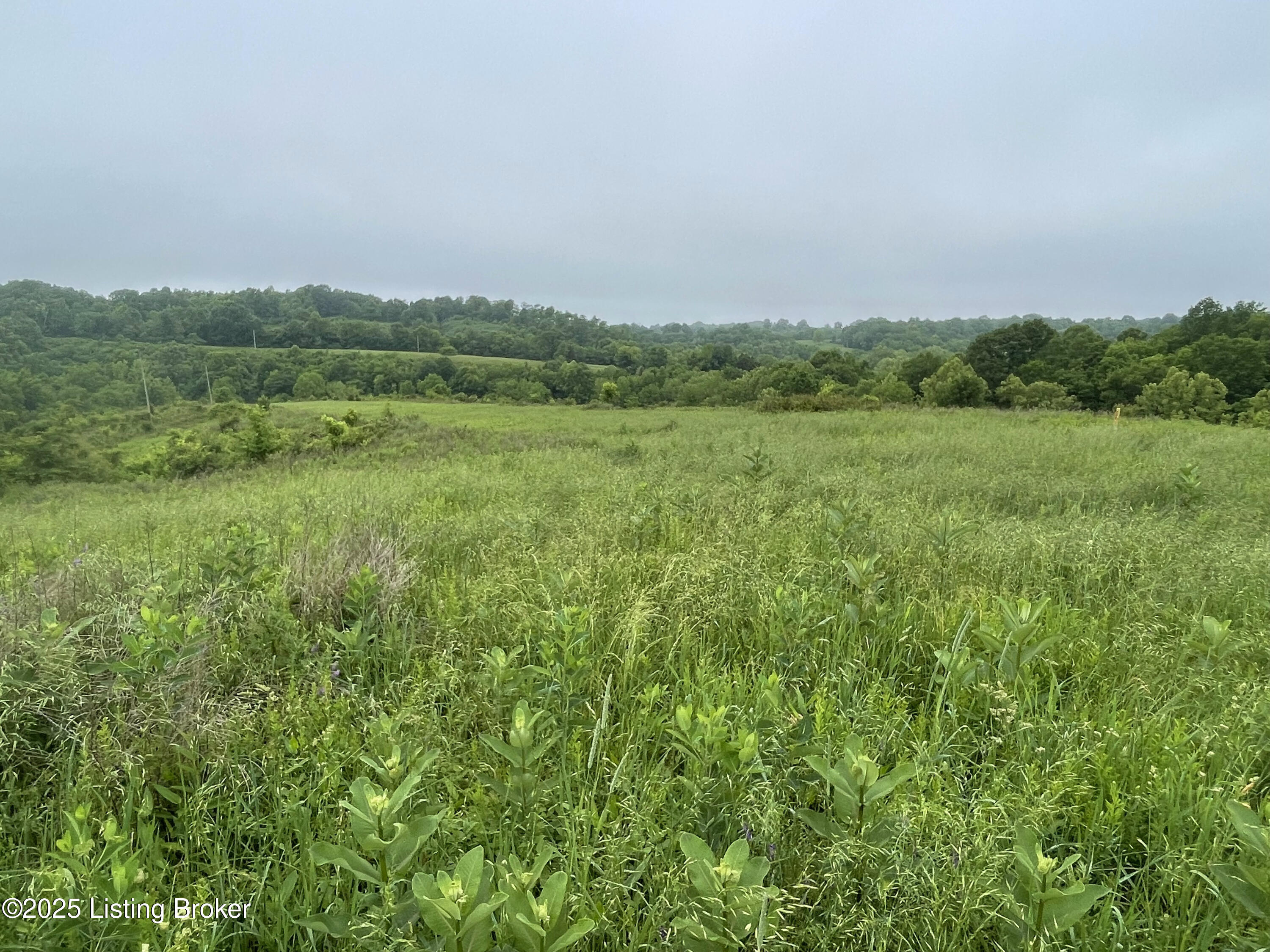 84-ac Long Road Lawrenceburg, KY 40342 - Photo 14 of 15 14