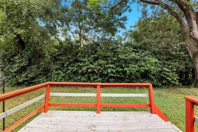 a small space with lots of trees