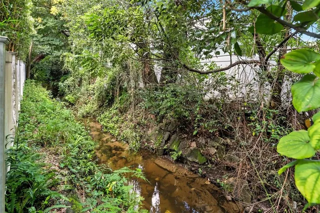 a view of a garden with plants