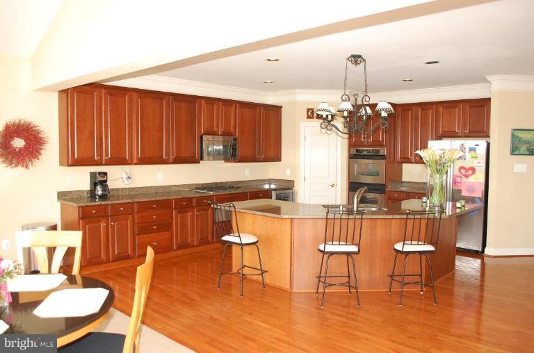 7 Deer Ridge Court Phoenix, MD 21131 - Photo 5 of 23 Kitchen #2