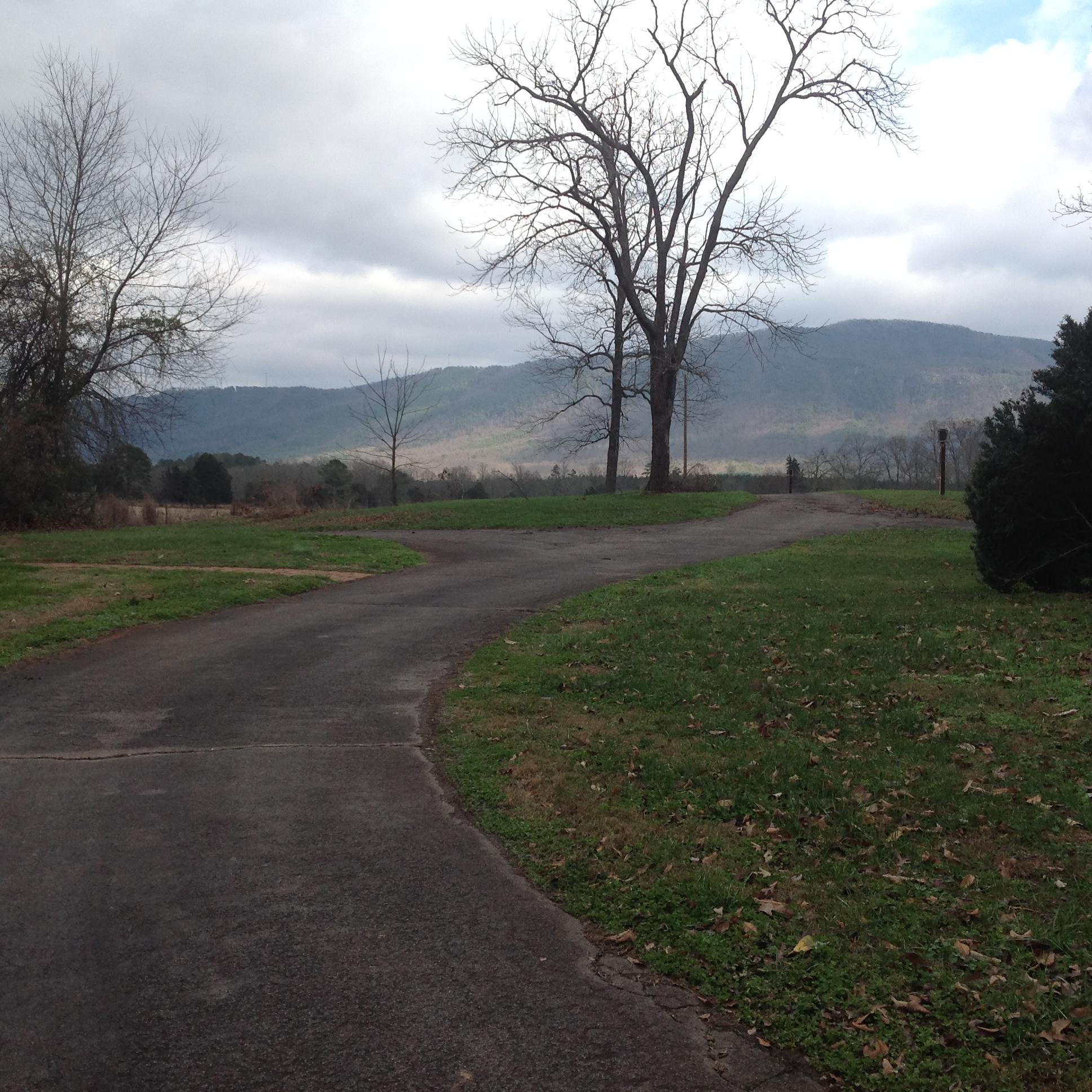 437 Welcome Valley Road Benton, TN 37307 - Photo 14 of 14 IMG_1612