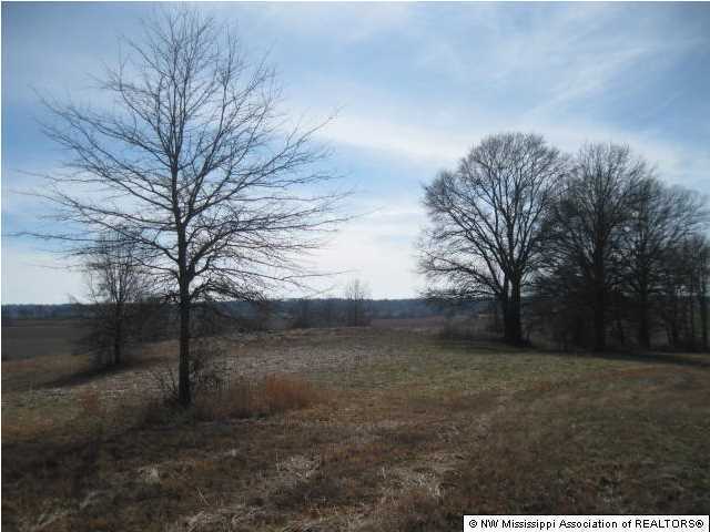 1 J J J Ranch Road Senatobia, MS 38668 - Photo 1 of 11 Primary Photo