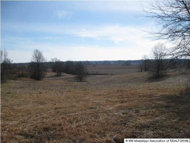 1 J J J Ranch Road Senatobia, MS 38668 - Photo 2 of 11 Additional Photo
