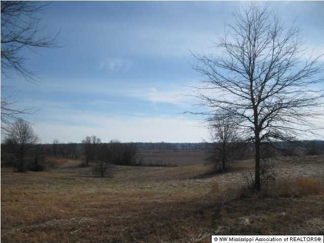 1 J J J Ranch Road Senatobia, MS 38668 - Photo 3 of 11 Additional Photo