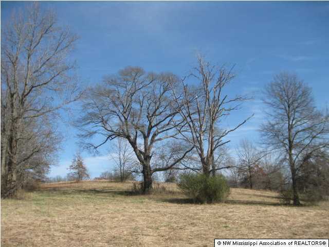 1 J J J Ranch Road Senatobia, MS 38668 - Photo 4 of 11 Additional Photo
