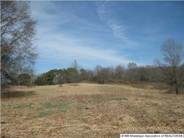1 J J J Ranch Road Senatobia, MS 38668 - Photo 5 of 11 Additional Photo