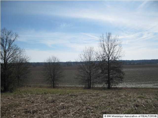 1 J J J Ranch Road Senatobia, MS 38668 - Photo 6 of 11 Additional Photo