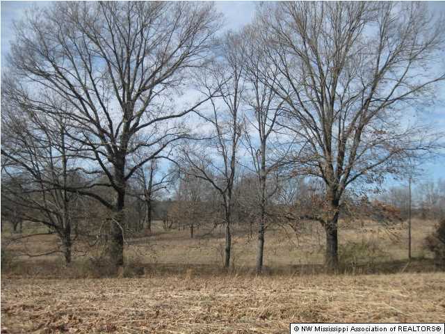1 J J J Ranch Road Senatobia, MS 38668 - Photo 7 of 11 Additional Photo