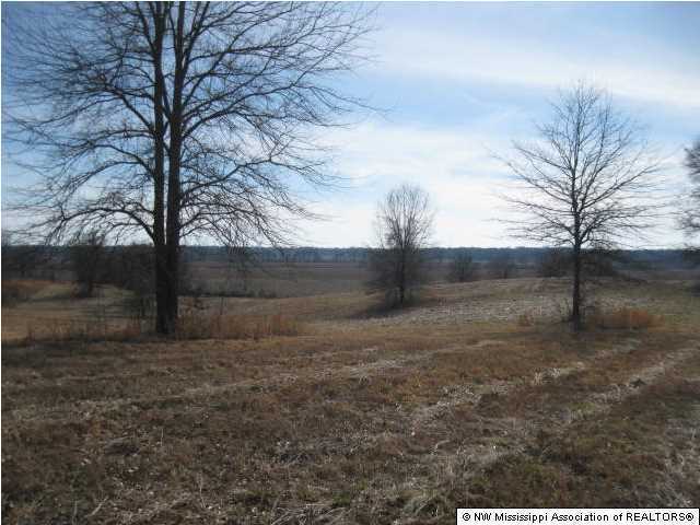 1 J J J Ranch Road Senatobia, MS 38668 - Photo 10 of 11 Additional Photo
