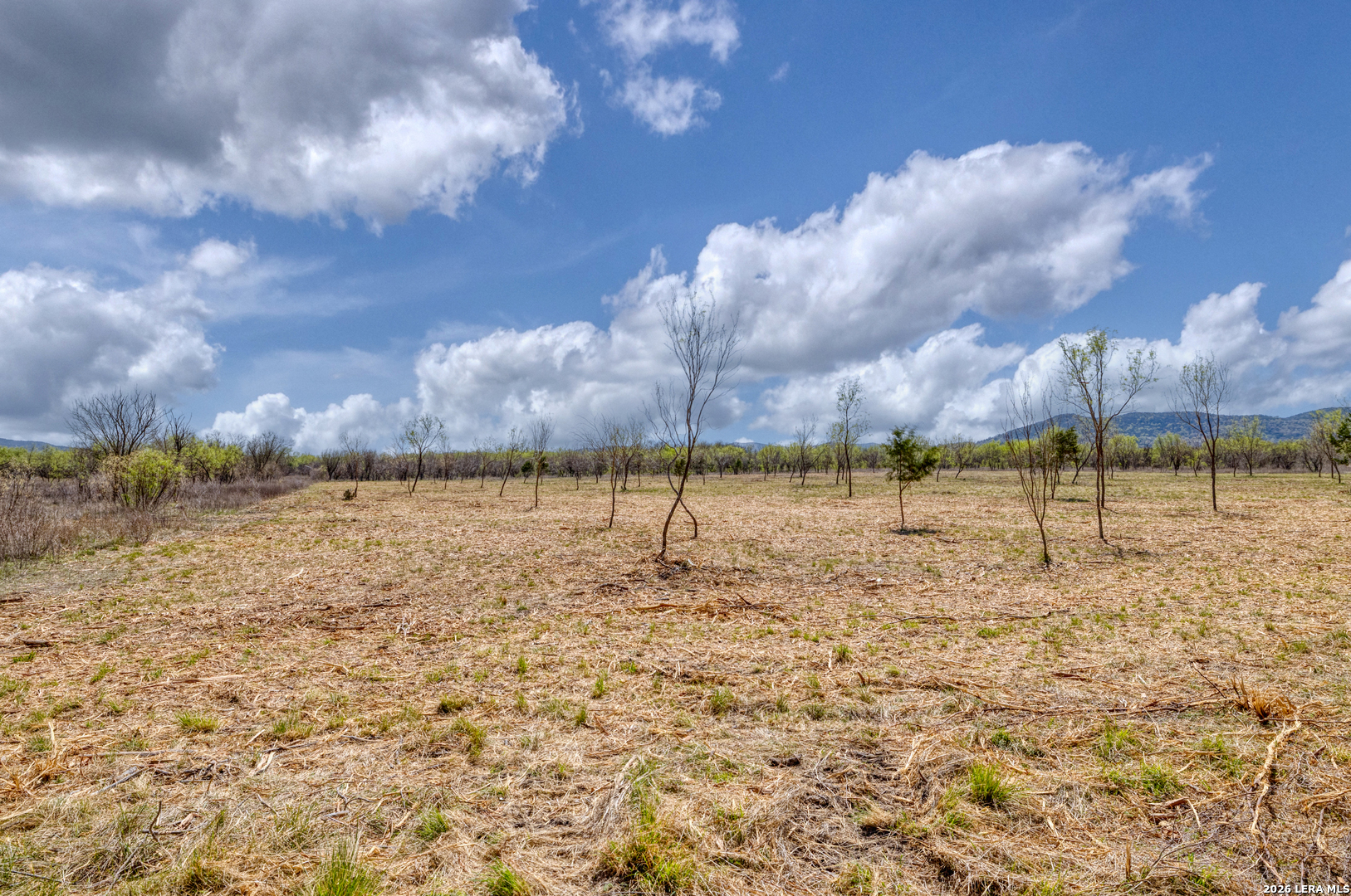 290 Whitetail Way Rio Frio, TX 78879 - Photo 18 of 60