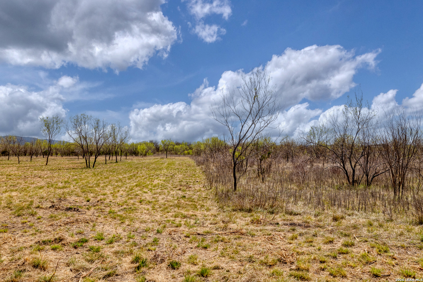 290 Whitetail Way Rio Frio, TX 78879 - Photo 22 of 60