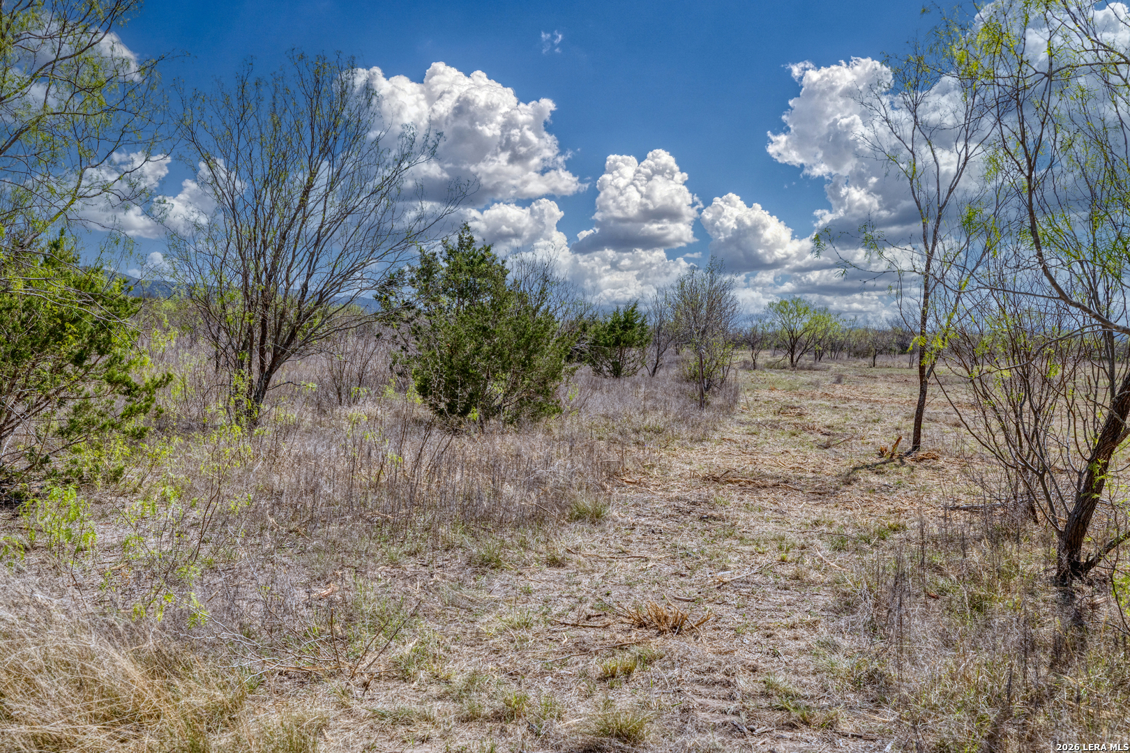 290 Whitetail Way Rio Frio, TX 78879 - Photo 24 of 60
