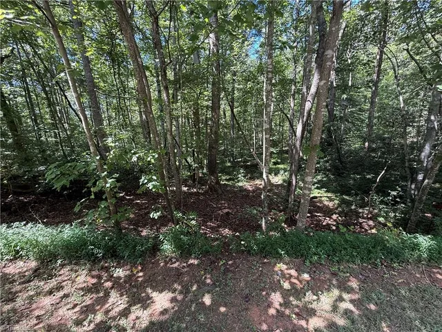 $26,200 | Lot 31 West Meadow Parkway, Moravian Falls, NC 28654