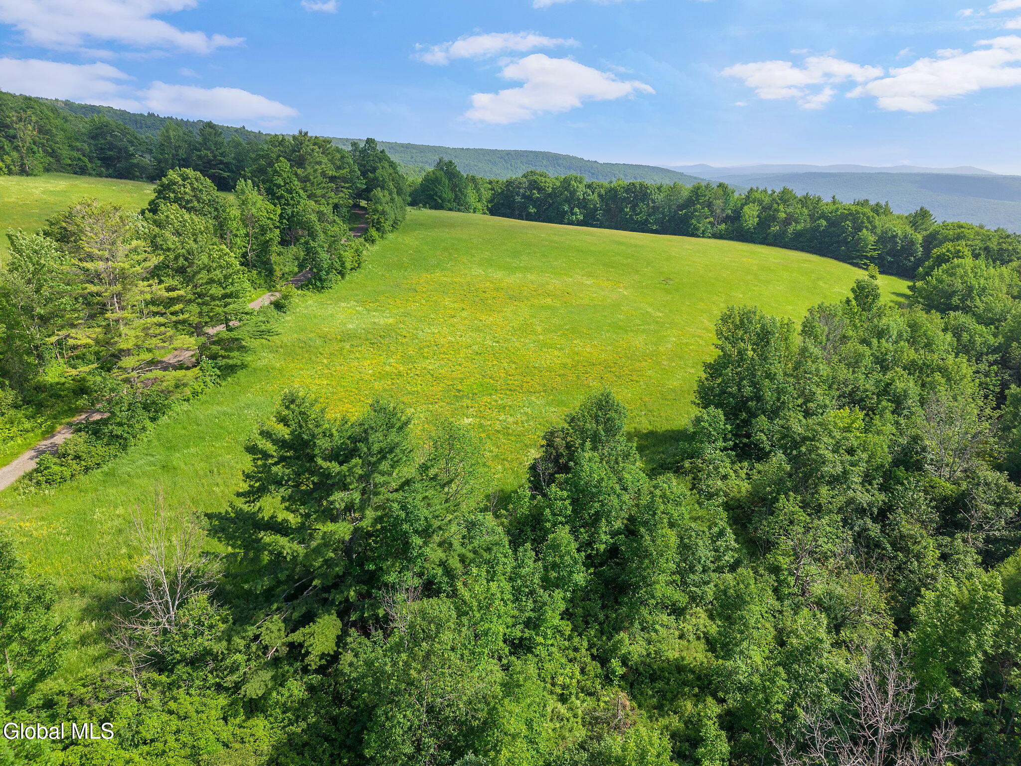 0 Debar Hill Road Middleburgh, NY 12122 - Photo 3 of 18 4-DebarHillRd_04