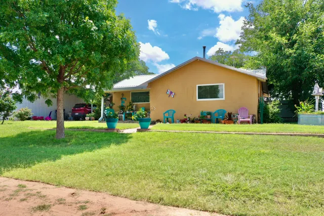 a backyard of a house with table and chairs plants and large tree