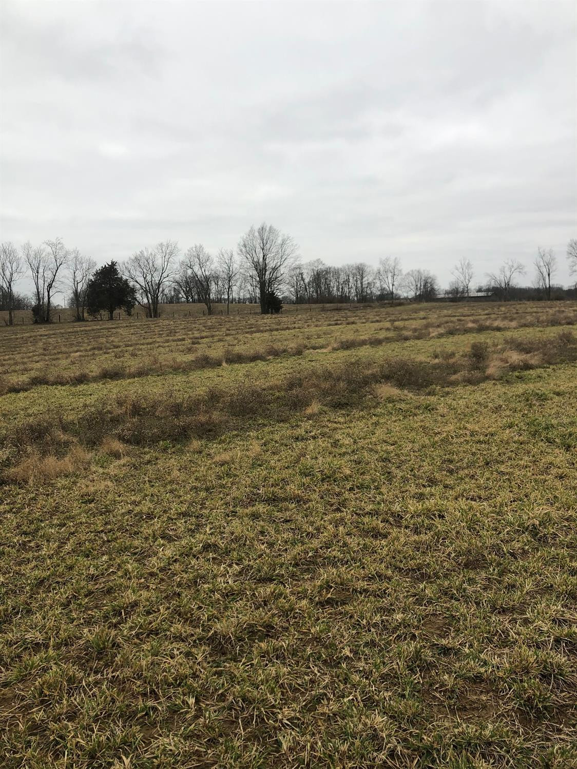 1 Monson/lake Road Cynthiana, KY 41031 - Photo 23 of 23 Photo 23
