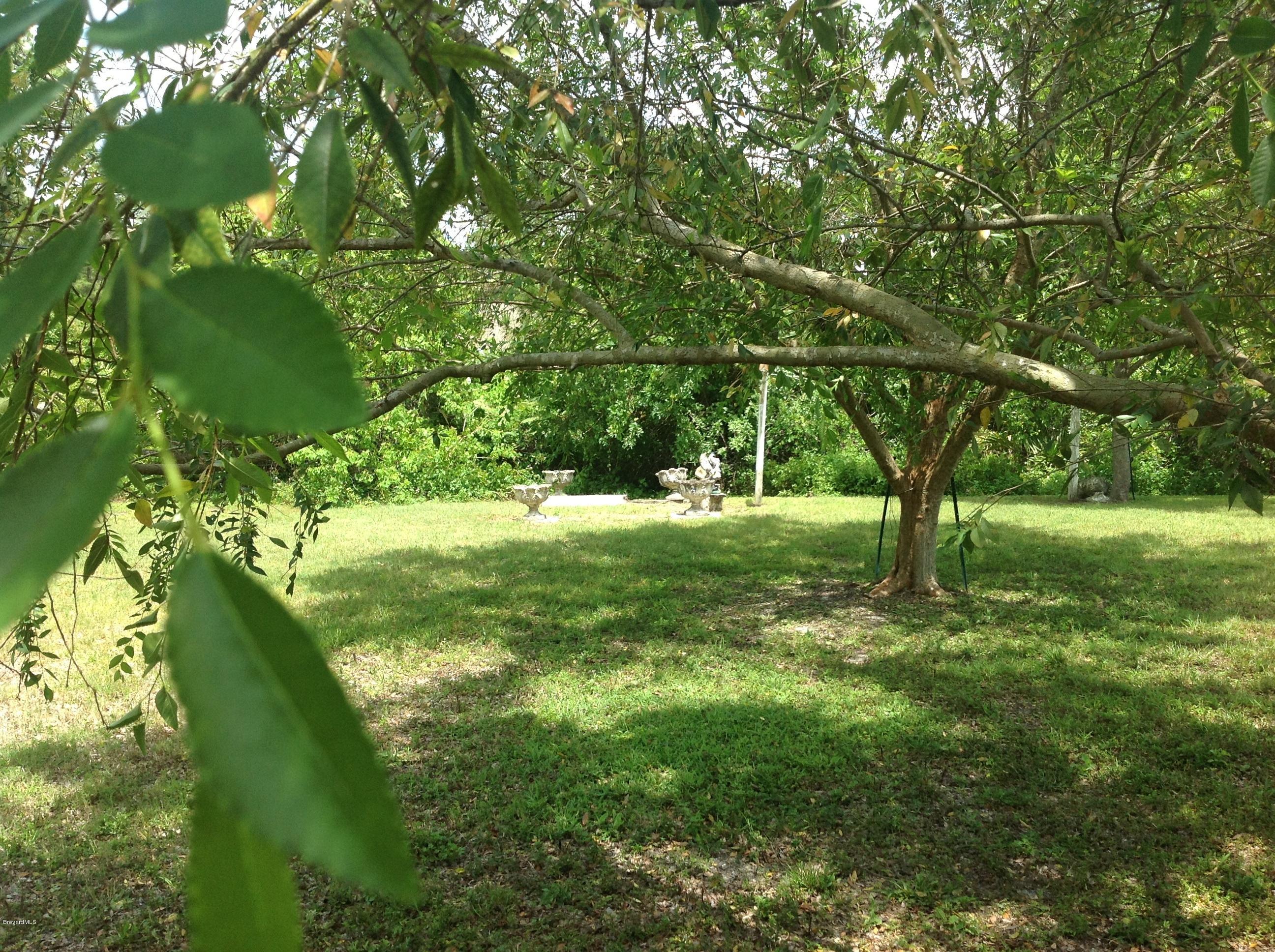 249 Gardner Road Southwest Palm Bay, FL 32908 - Photo 8 of 16 image