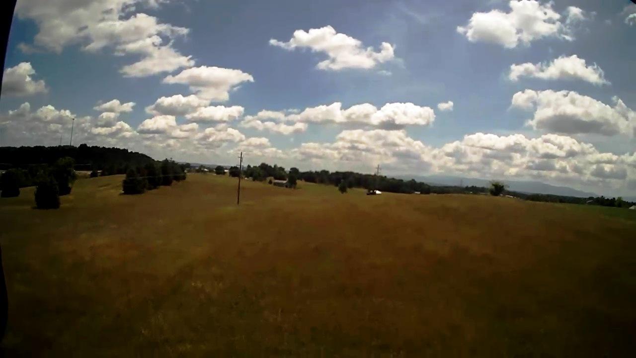 9.95 Forest Road Mosheim, TN 37818 - Photo 4 of 5 Forest Rd 4