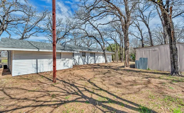 a view of a backyard with a large tree