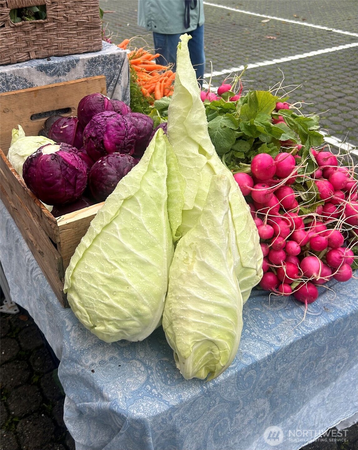 2011 Cornwall Avenue Bellingham, WA 98225 - Photo 24 of 29