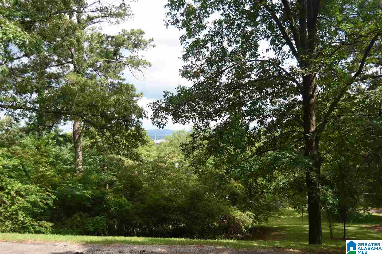 235 Pace Circle Anniston, AL 36207 - Photo 30 of 31