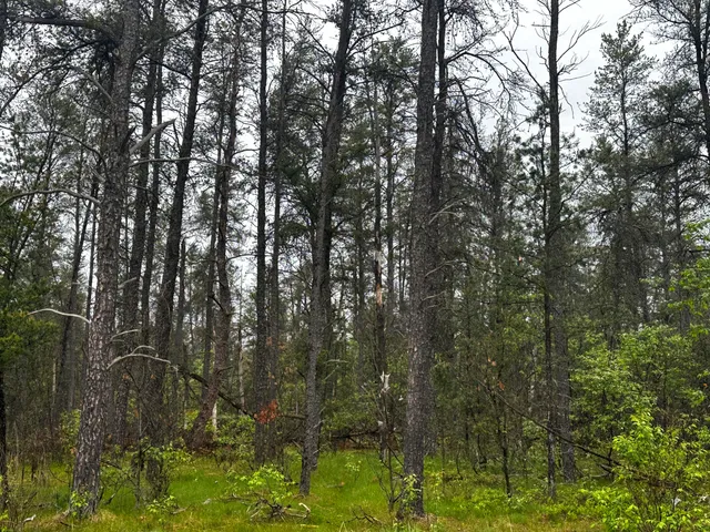 $59,000 | 0 East 10 Mile Road, Unit PARCEL D1, Irons, MI 49644