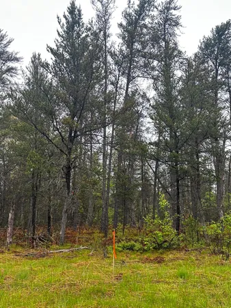 $59,000 | 0 East 10 Mile Road, Unit PARCEL D1, Irons, MI 49644