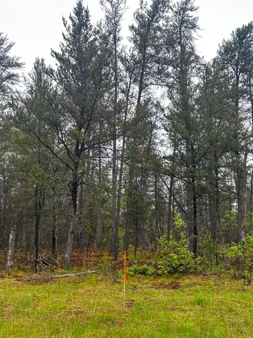 $59,000 | 0 East 10 Mile Road, Unit PARCEL D1, Irons, MI 49644