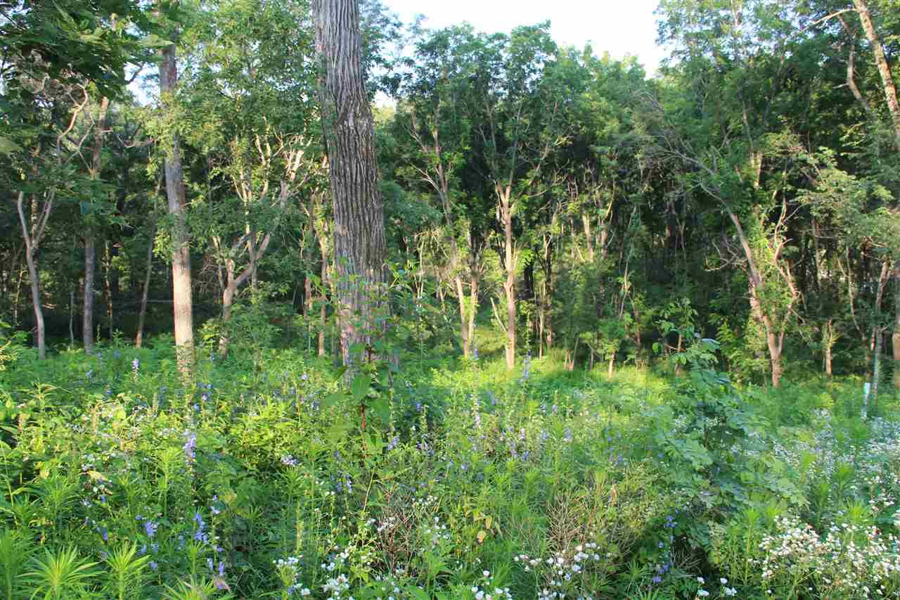 52 Solon Road Solon, IA 52333 - Photo 5 of 31 Gallery Image 5