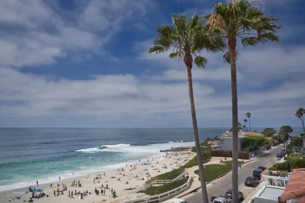 a vase of flowers sitting on a table
