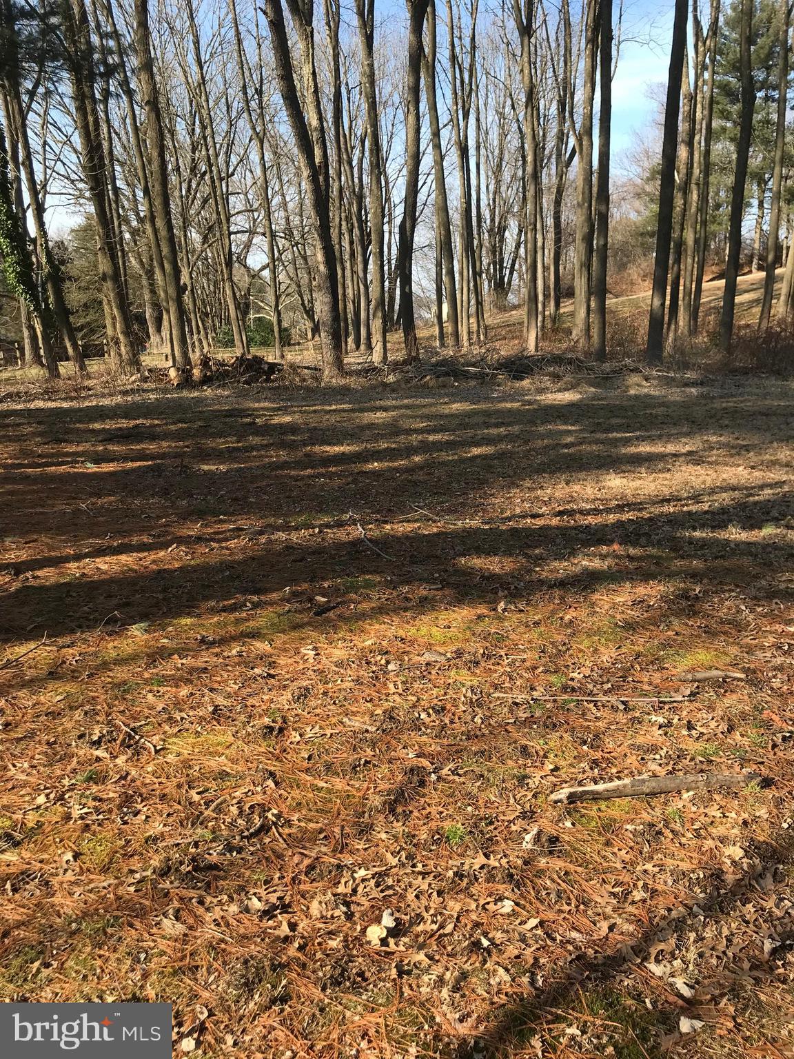 Lot 1 Dunvegan Road West Chester, PA 19382 - Photo 3 of 3 Gallery Image 3