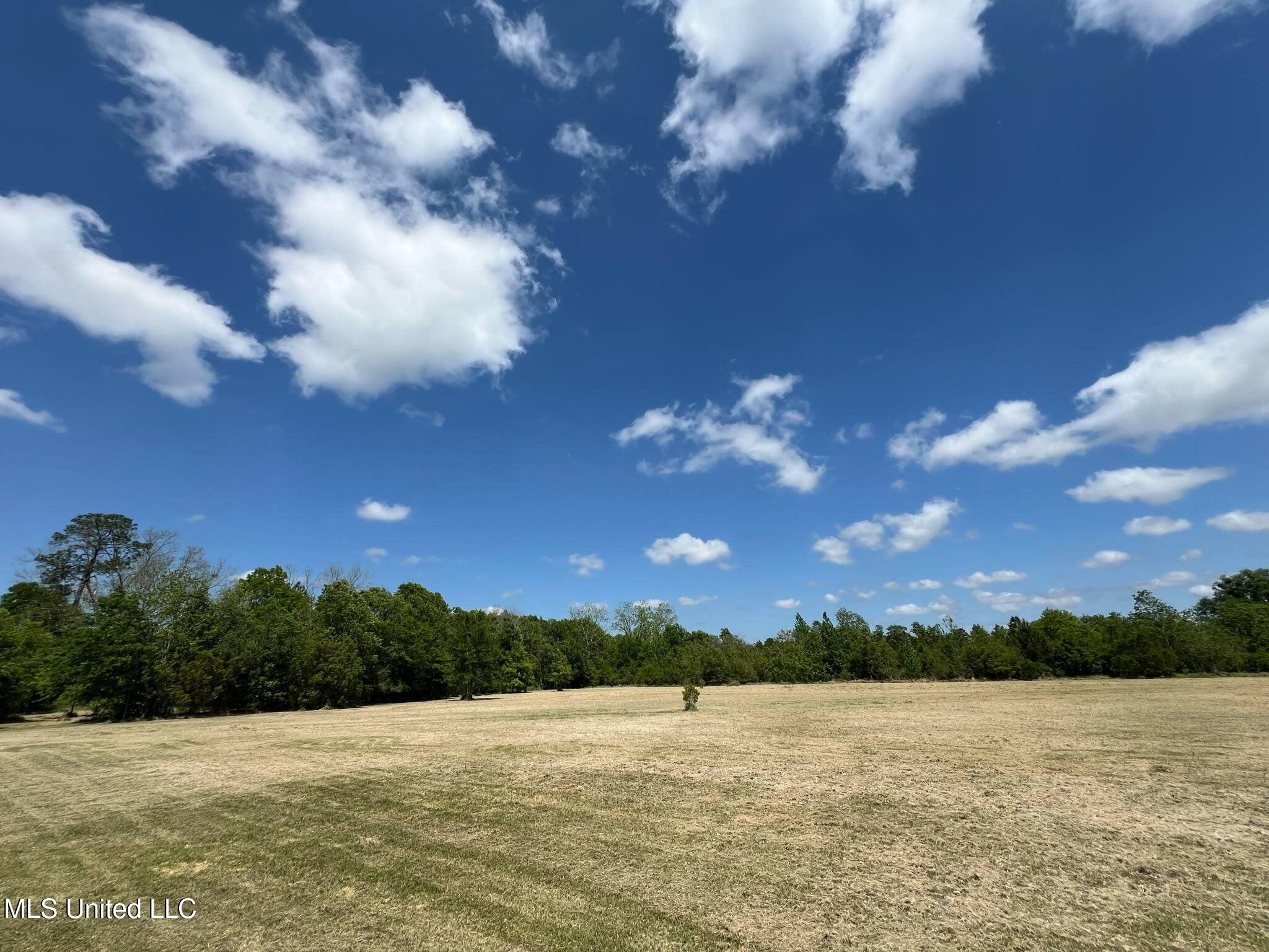 8485 James Pierce Road Moss Point, MS 39562 - Photo 2 of 5 273957219472209043