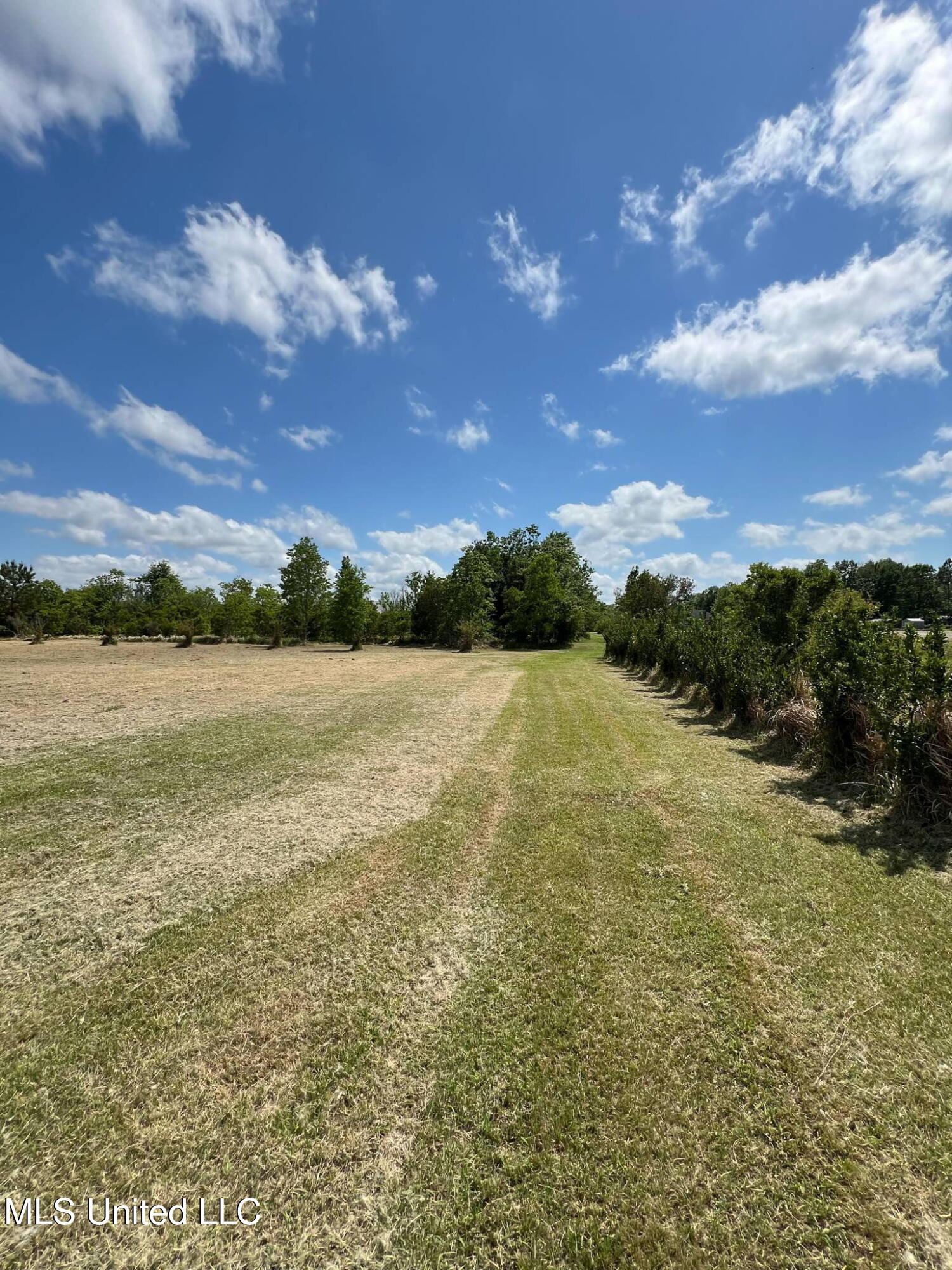 8485 James Pierce Road Moss Point, MS 39562 - Photo 3 of 5 1006507788212313553 2