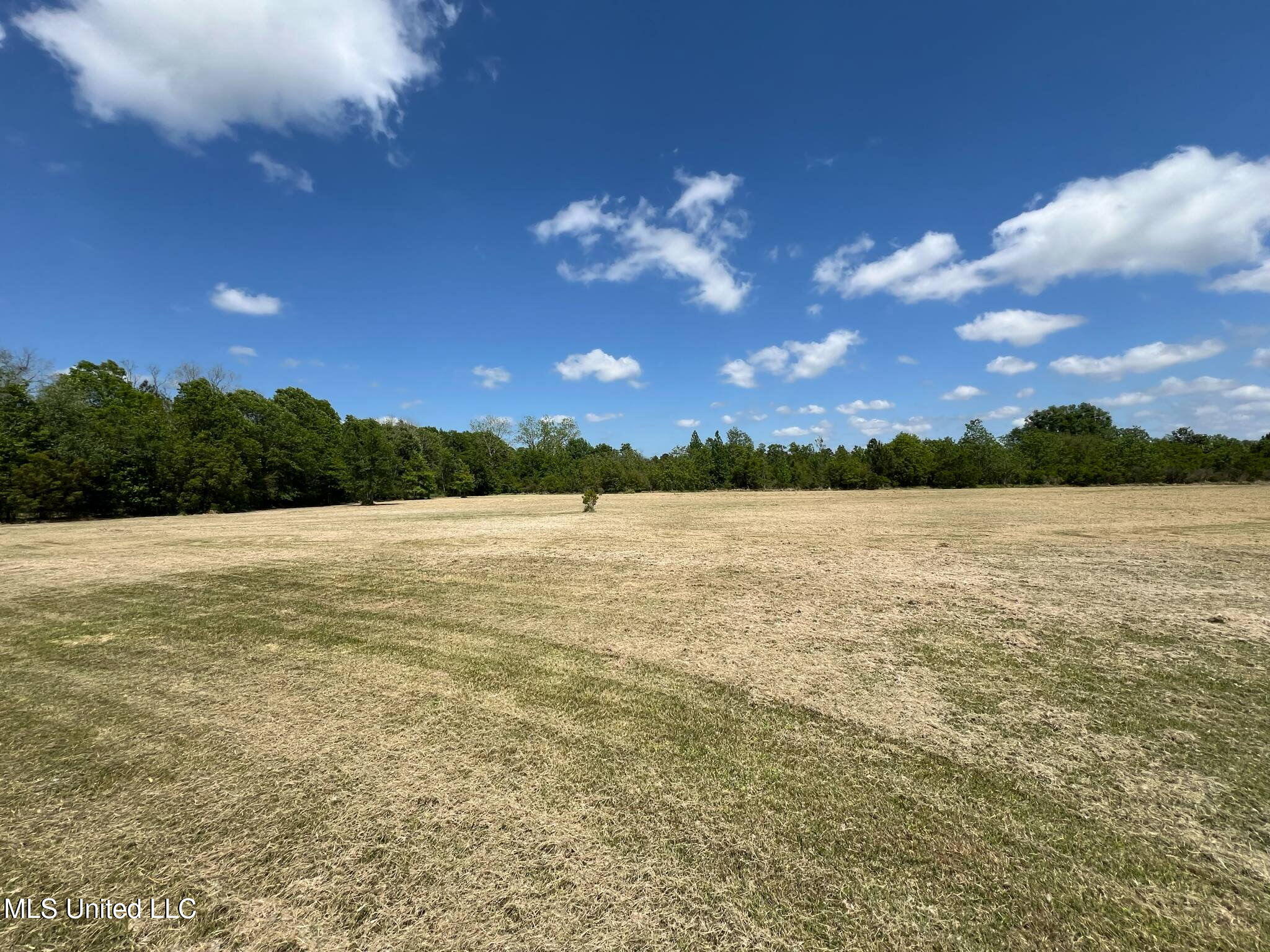 8485 James Pierce Road Moss Point, MS 39562 - Photo 4 of 5 1042415129826000117