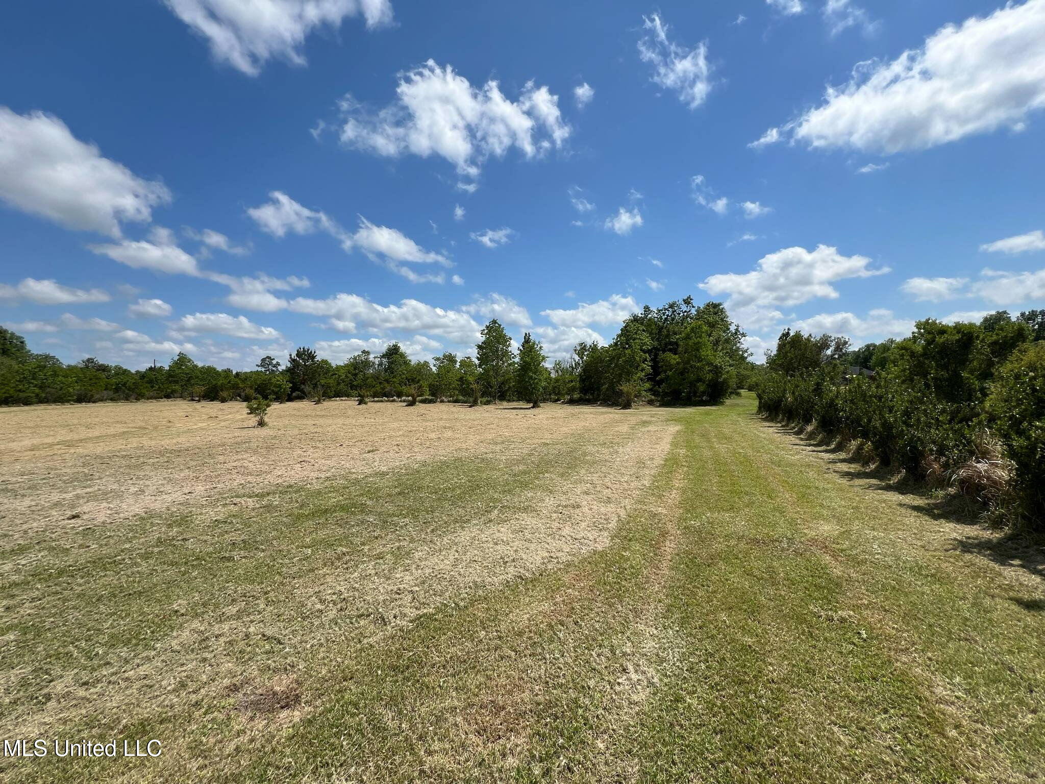 8485 James Pierce Road Moss Point, MS 39562 - Photo 5 of 5 6243345357926838080
