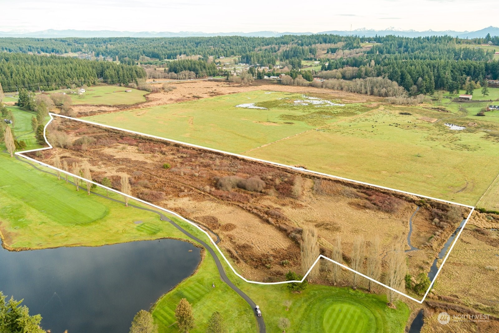 -xxx Bayview Road Langley, WA 98260 - Photo 1 of 13 a view of a swimming pool with a yard