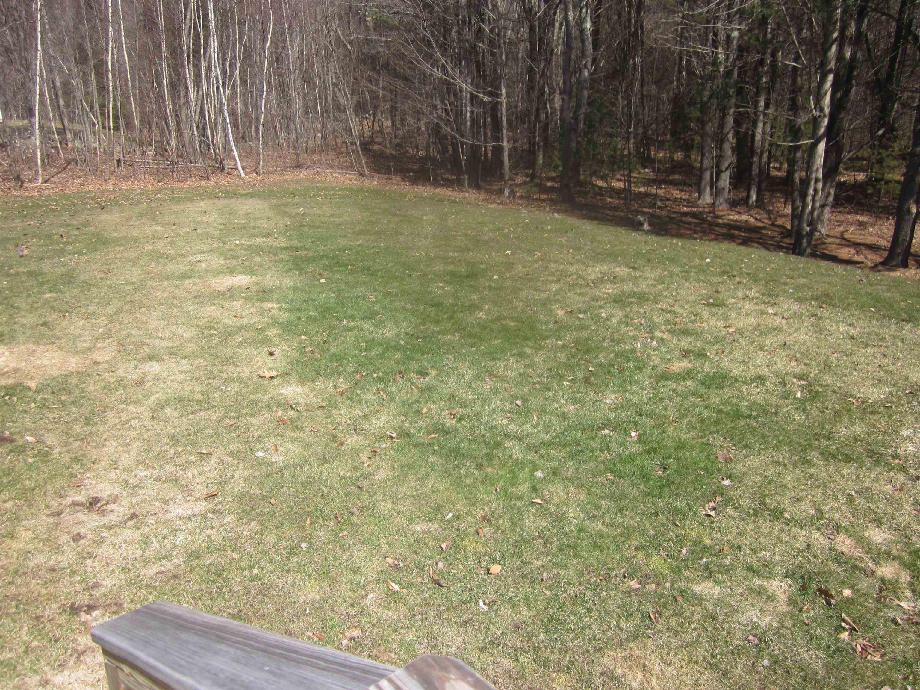 3 Wild Turkey Road Deerfield, NH 03037 - Photo 36 of 40