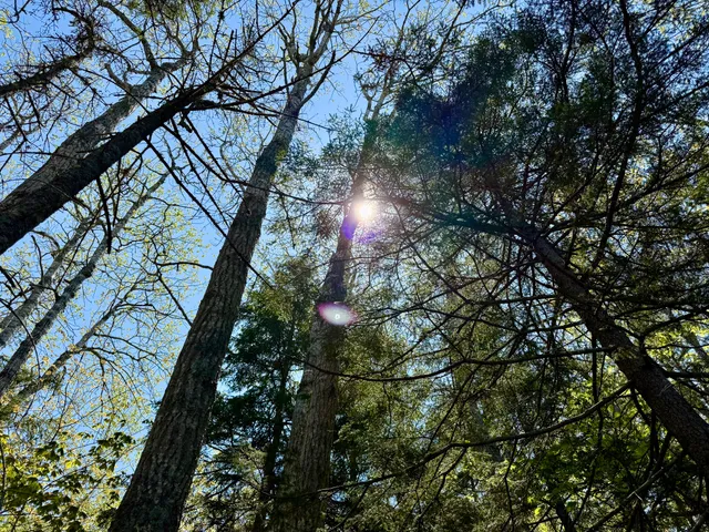 $125,000 | Lot 14 West A W Shore Road, Sorrento, ME 04677