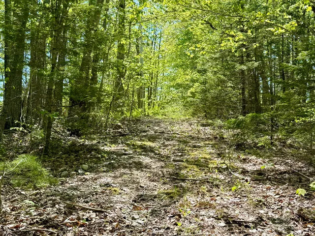 $125,000 | Lot 14 West A W Shore Road, Sorrento, ME 04677