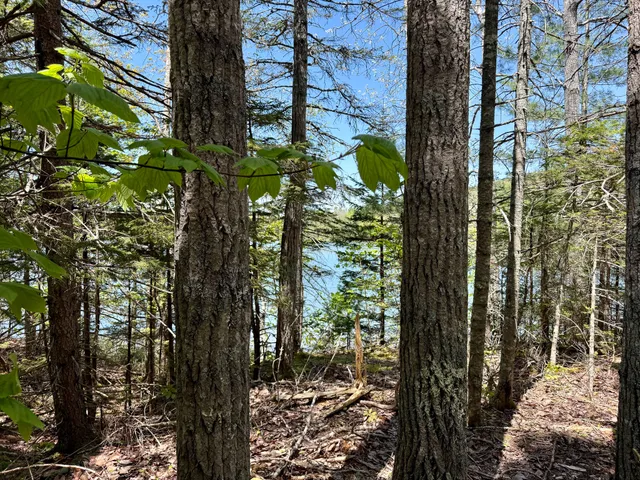 $125,000 | Lot 14 West A W Shore Road, Sorrento, ME 04677