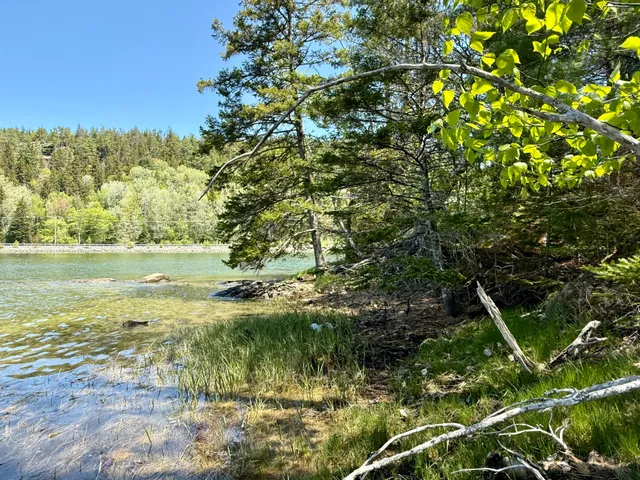 $125,000 | Lot 14 West A W Shore Road, Sorrento, ME 04677
