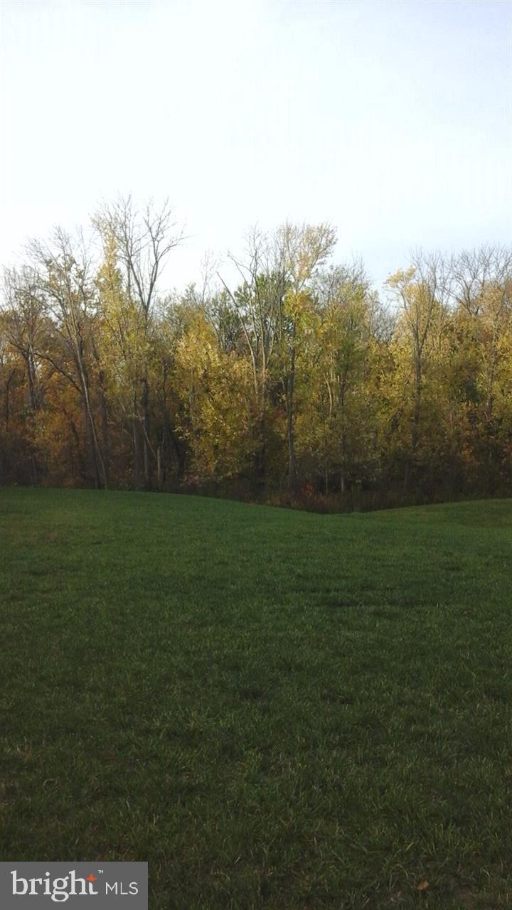 2301 Walnut Bottom Road York, PA 17408 - Photo 20 of 24