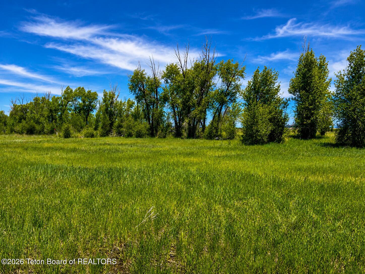 770 Cobblecrest Road Driggs, ID 83422 - Photo 3 of 4 4209C4C7-EF99-4802-8D98-72E8F266361E