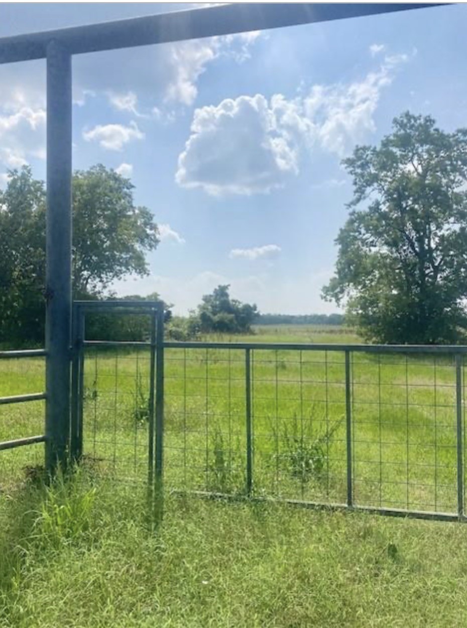 0 Fm 521 Angleton, TX 77515 - Photo 4 of 6 a view of a garden from a lake