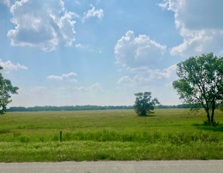 0 Fm 521 Angleton, TX 77515 - Photo 6 of 6 a view of yard with ocean