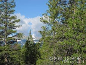 205 Alpine Cirque Leadville, CO 80461 - Photo 1 of 4 a view of a bunch of trees