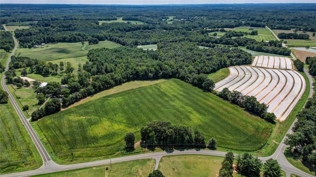 6300 Lineberry Road Liberty, NC 27298 - Photo 11 of 13 Gallery Image 11